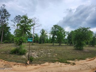 TBD Empire Avenue, Alford, FL 32420