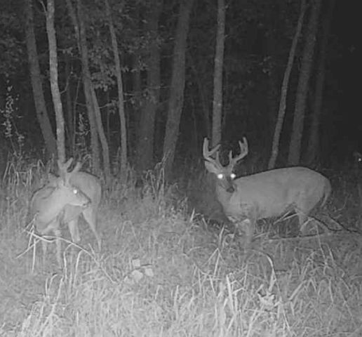 Lot 5 Butternut Road, Brainerd, MN 56401