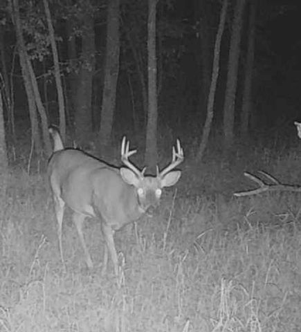 Lot 5 Butternut Road, Brainerd, MN 56401