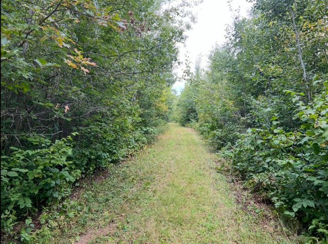 Lot 5 Butternut Road, Brainerd, MN 56401
