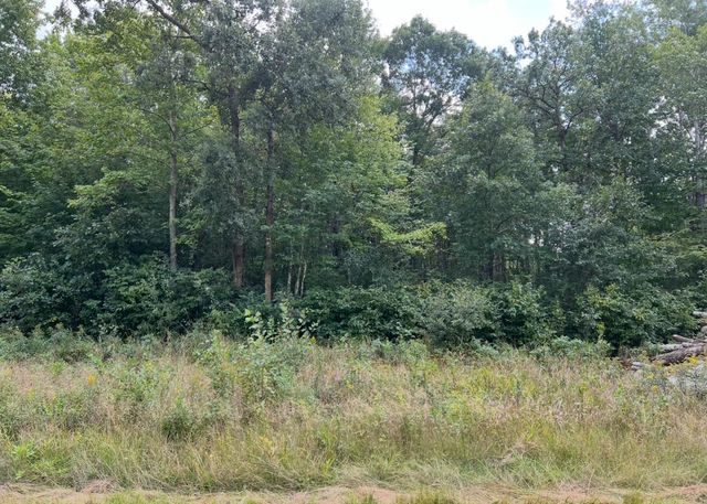 Lot 5 Butternut Road, Brainerd, MN 56401