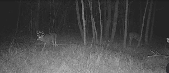 Lot 5 Butternut Road, Brainerd, MN 56401