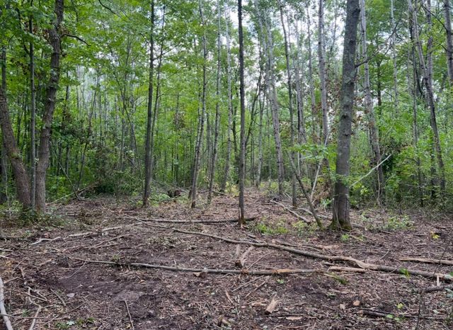 Lot 5 Butternut Road, Brainerd, MN 56401