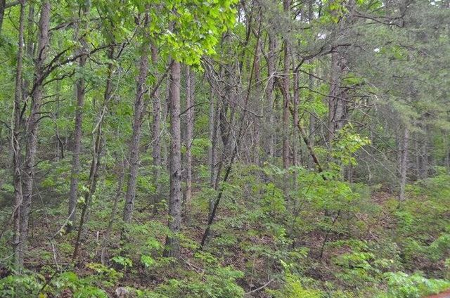 8805 Terrace Falls Drive, Soddy Daisy, TN 37379