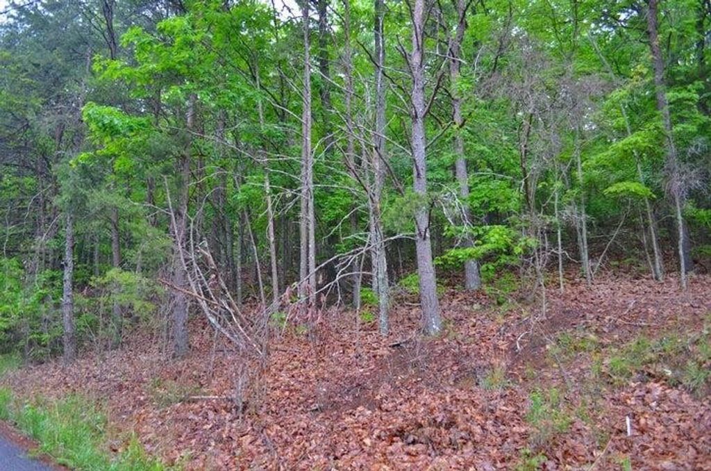 8805 Terrace Falls Drive, Soddy Daisy, TN 37379