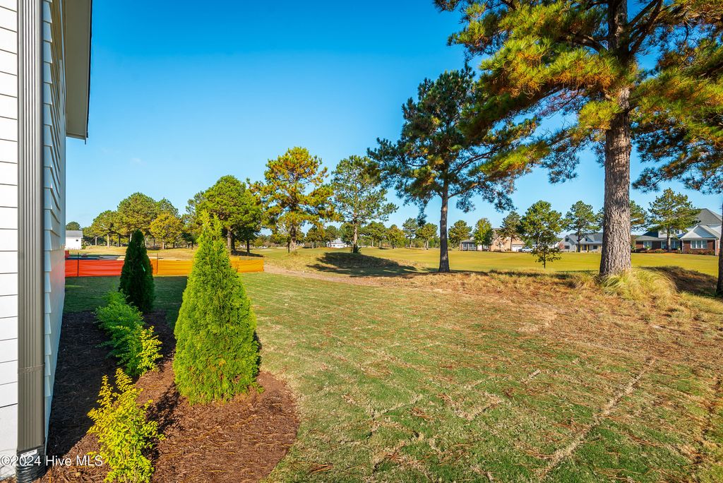 Image 49 of property listing at 46 Pine Tree Point, Snow Hill, NC 28580