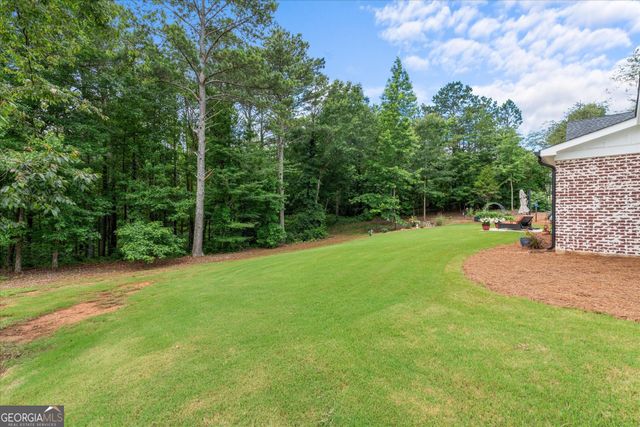 65 Pope Road, Buchanan, GA 30113