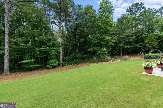65 Pope Road, Buchanan, GA 30113