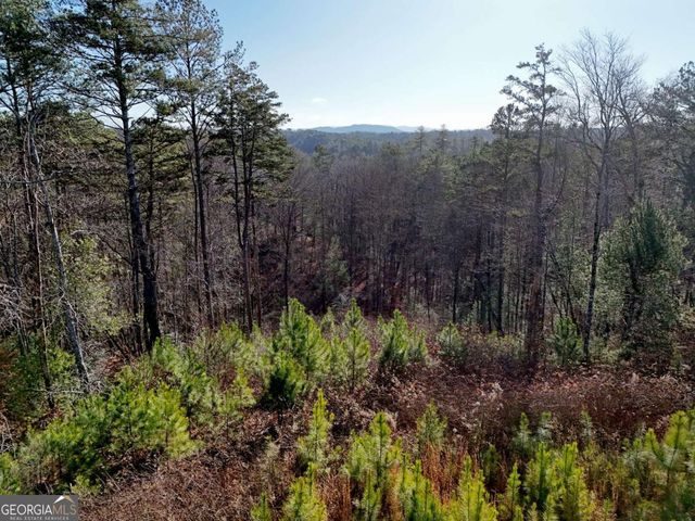 LOT 173 Lecroy Drive, Ellijay, GA 30540