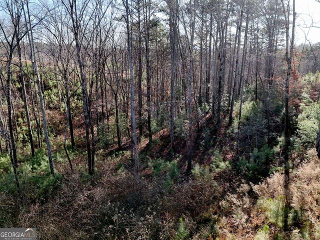 LOT 173 Lecroy Drive, Ellijay, GA 30540