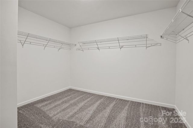 14113 New Crest Lane 162, Huntersville, NC 28078