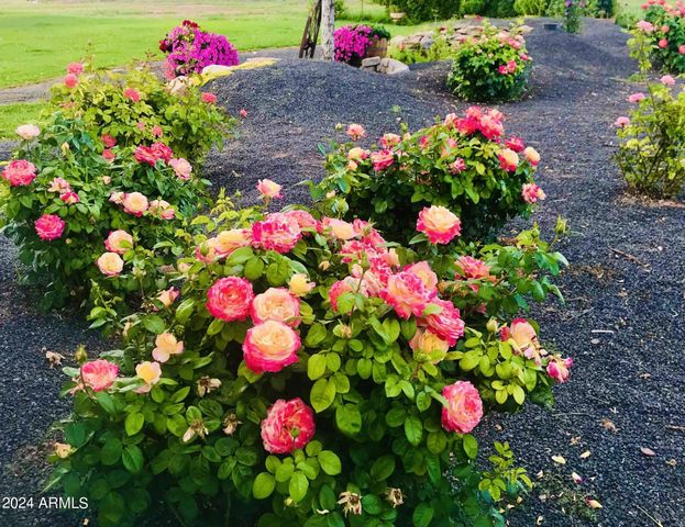 7631.. BALDWIN Lane, Taylor, AZ 85939