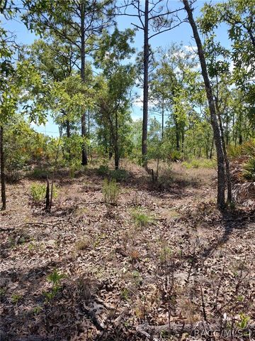 7165 W August Lane, Dunnellon, FL 34433