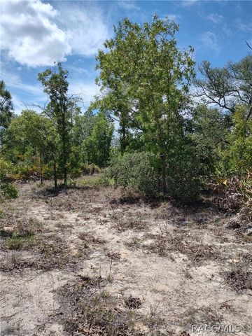 7165 W August Lane, Dunnellon, FL 34433