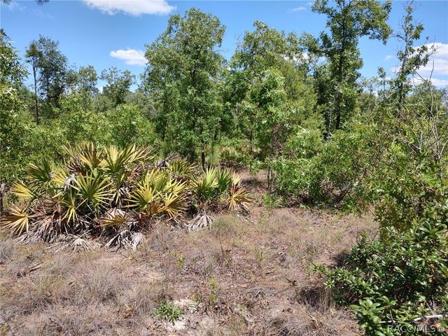 7165 W August Lane, Dunnellon, FL 34433