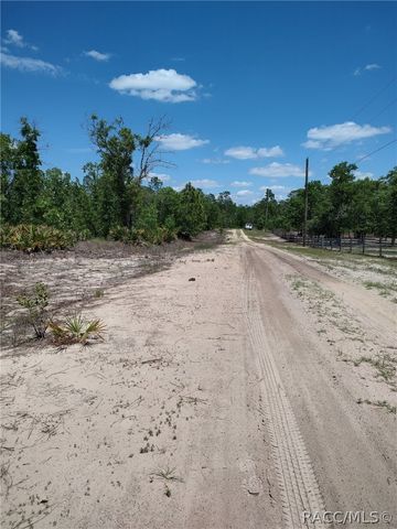 7165 W August Lane, Dunnellon, FL 34433