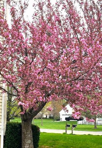 126 HEMLOCK DR, Cochranville, PA 19330