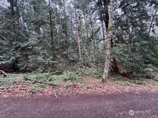 0 207th Place NE, Sammamish, WA 98074
