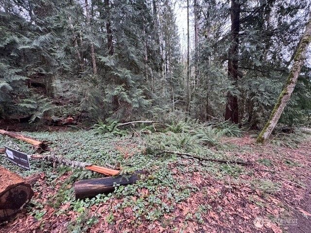 0 207th Place NE, Sammamish, WA 98074