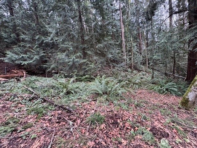 0 207th Place NE, Sammamish, WA 98074