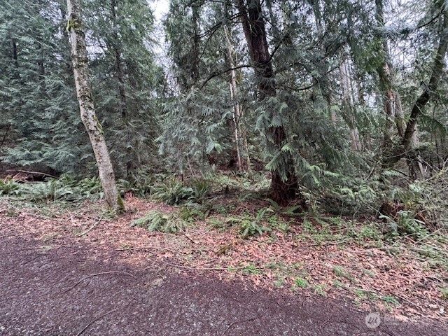 0 207th Place NE, Sammamish, WA 98074