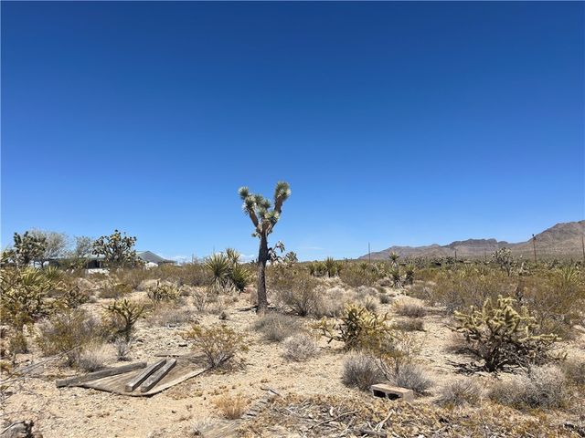 319-13-344 LAKESIDE Drive, Dolan Springs, AZ 86441