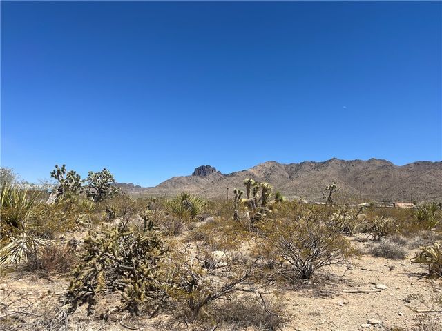 319-13-344 LAKESIDE Drive, Dolan Springs, AZ 86441