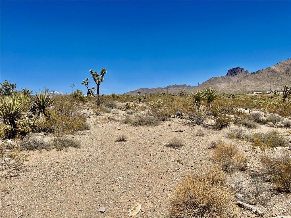 319-13-344 LAKESIDE Drive, Dolan Springs, AZ 86441