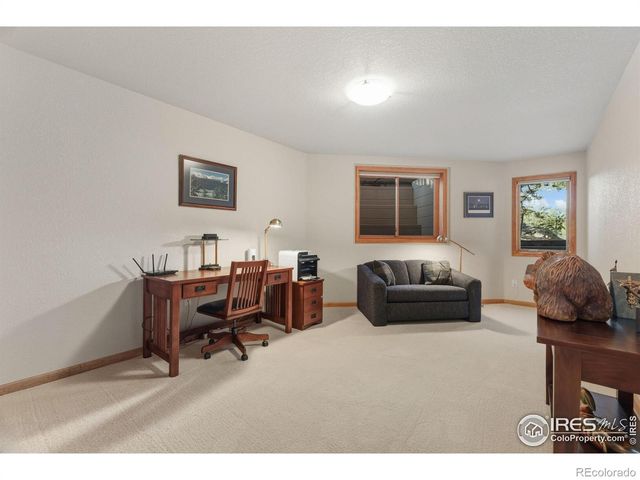 252 Steamer Court, Estes Park, CO 80517