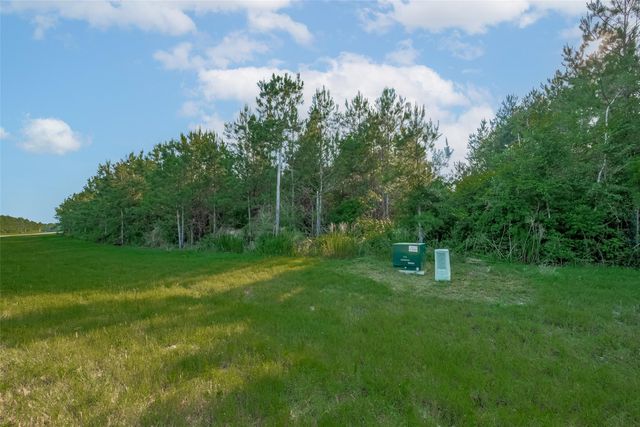 15743 Wooded Trail Way, Willis, TX 77378