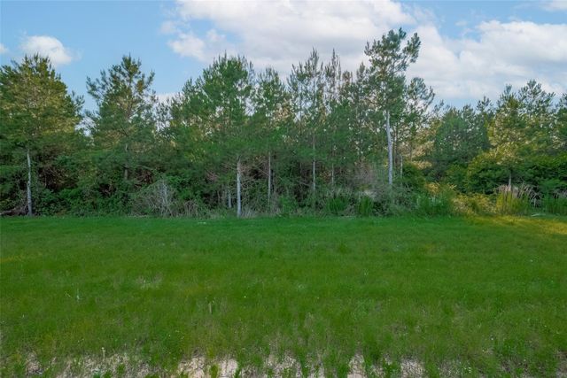 15743 Wooded Trail Way, Willis, TX 77378