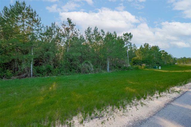 15743 Wooded Trail Way, Willis, TX 77378