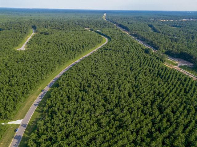 15743 Wooded Trail Way, Willis, TX 77378