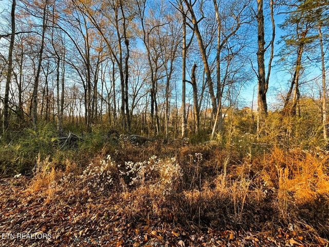 16.75 ac Euchee Road, Ten Mile, TN 37880