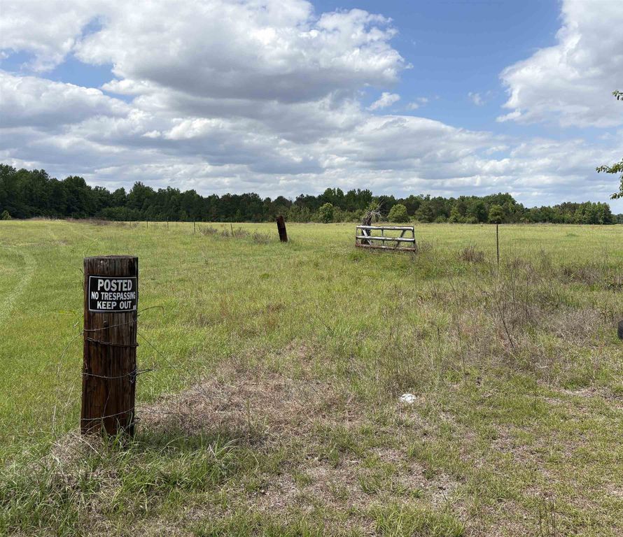 Grady Rd., Mullins, SC 29574 — photo 3