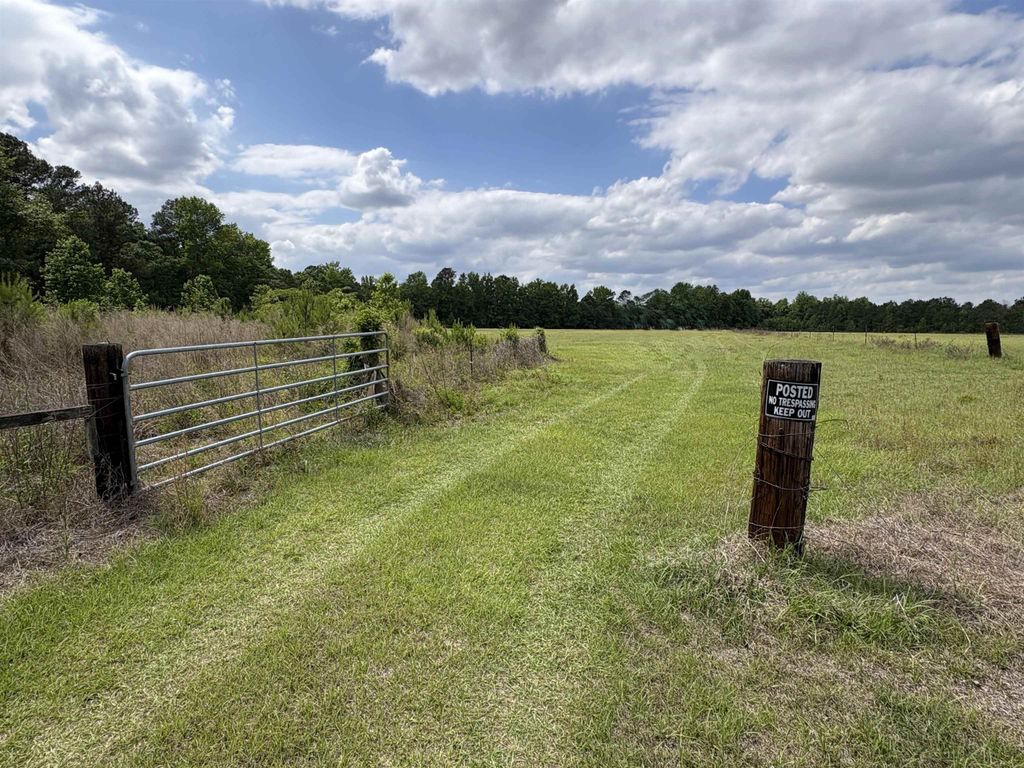Grady Rd., Mullins, SC 29574 — photo 5