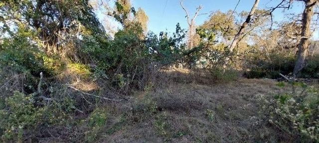 26573 Fawn Drive, Hempstead, TX 77445