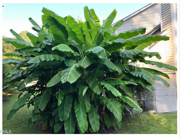 109 Hanford Road, Chapel Hill, NC 27516