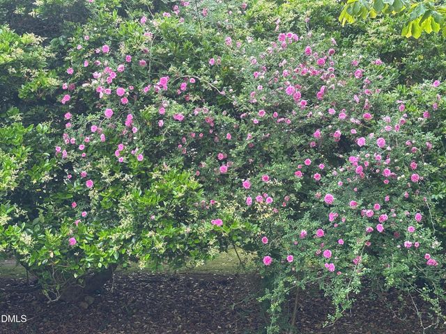 109 Hanford Road, Chapel Hill, NC 27516