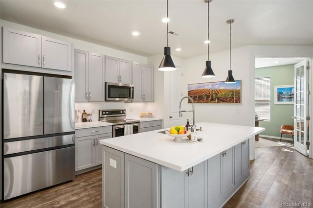 3025 Low Meadow Boulevard, Castle Rock, CO 80109