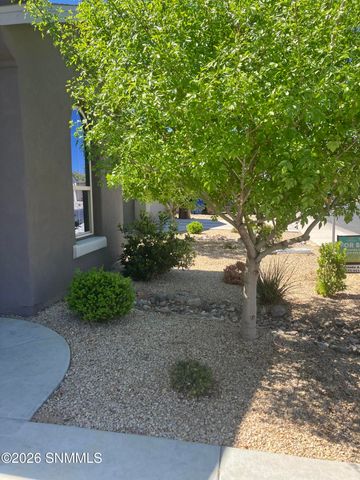 3854 San Marino Road, Las Cruces, NM 88012