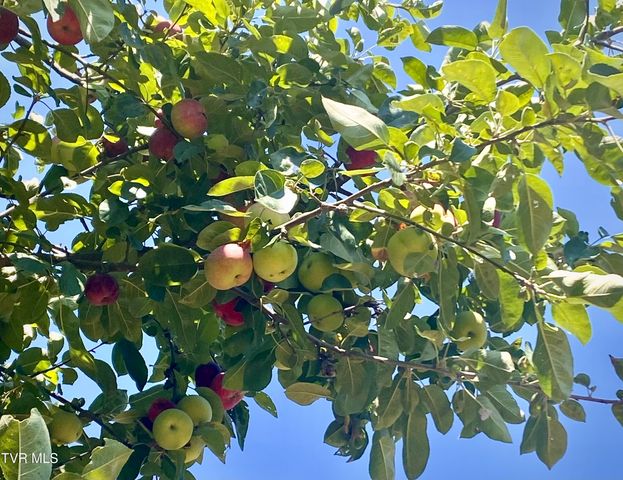 500 Sunnyvale Drive, Johnson City, TN 37601