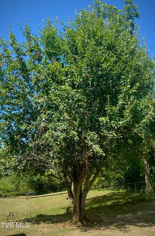 500 Sunnyvale Drive, Johnson City, TN 37601