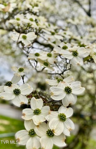 500 Sunnyvale Drive, Johnson City, TN 37601