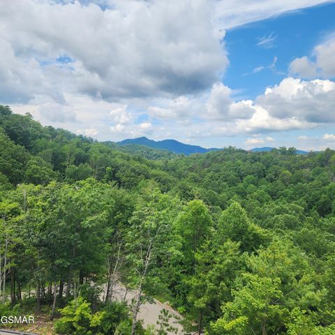 2065 Spurling Road, Sevierville, TN 37876