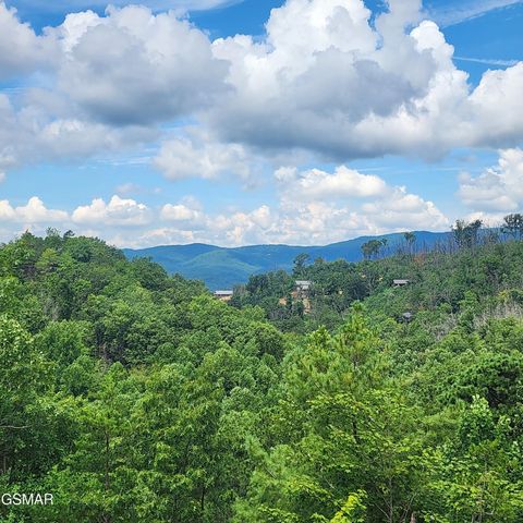 2065 Spurling Road, Sevierville, TN 37876