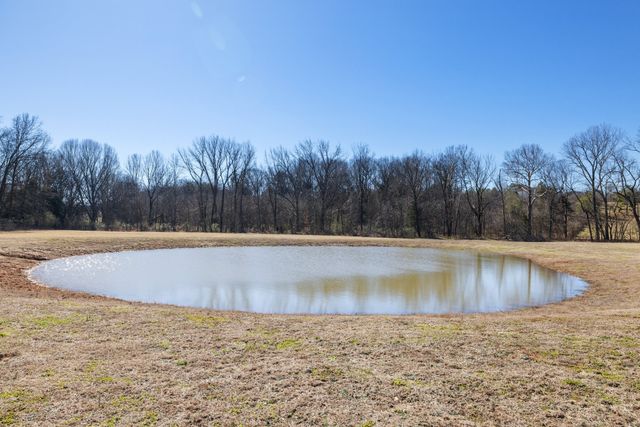 4785 Pulliam Hardaway Rd, Springfield, TN 37172