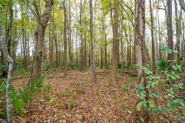 3531 Stockton Drive, Mount Pleasant, SC 29466