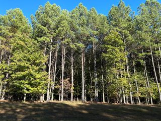 2035 Crockett Point Jf-609, Jasper, TN 37347
