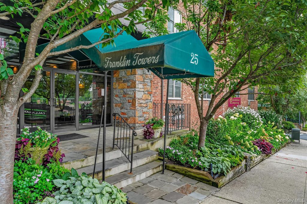 25 Franklin Avenue 6C, White Plains, NY 10601 — photo 3